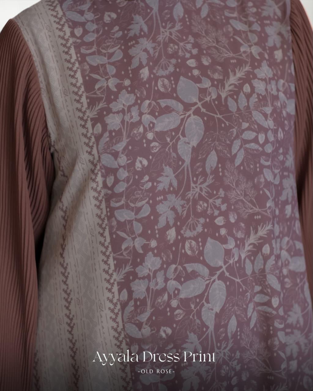 Ayyala Dress Print - Image 19